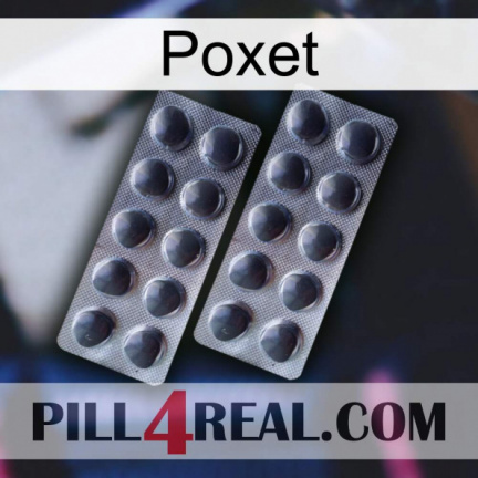 Poxet 31